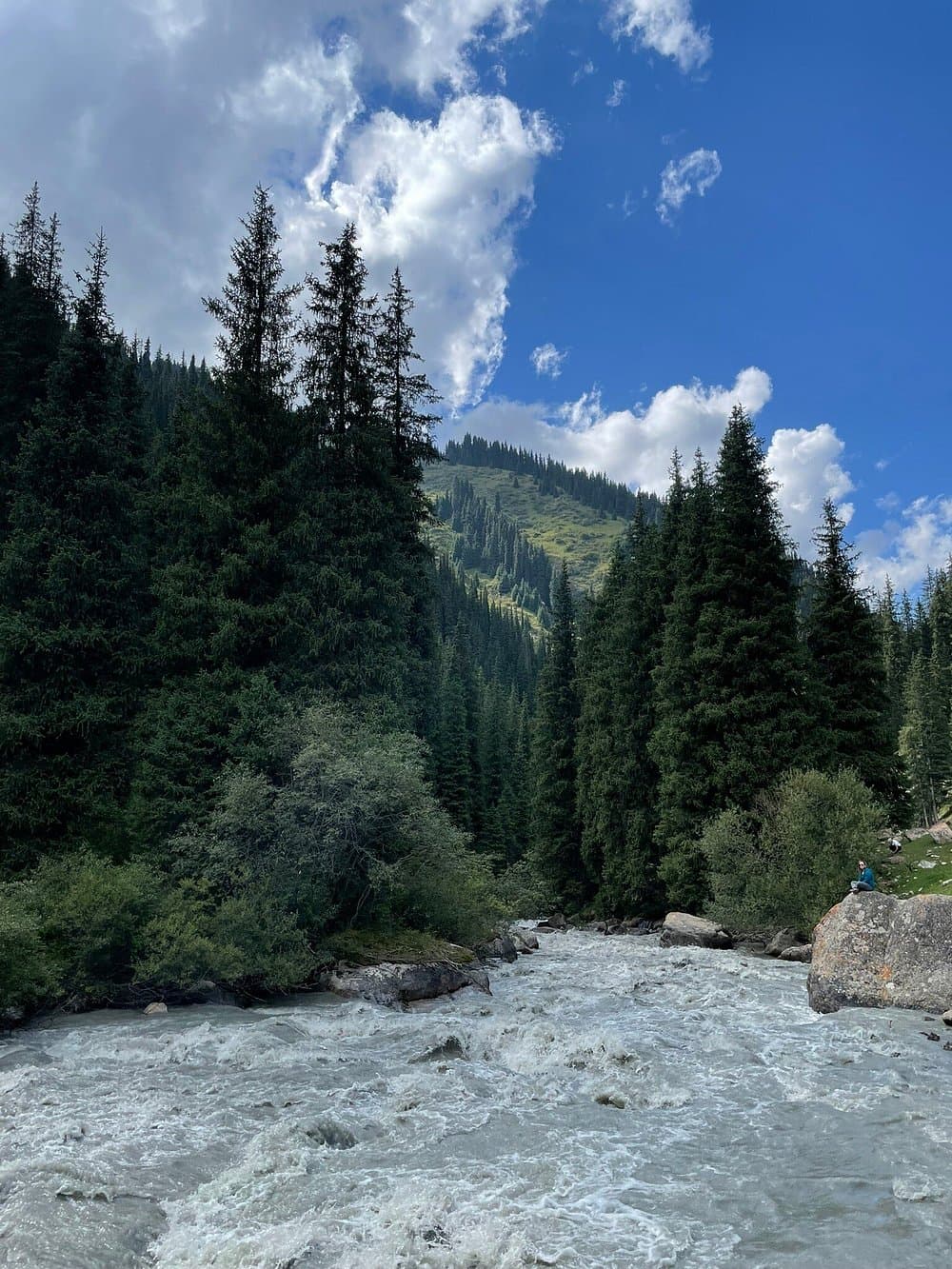 Инфраструктурная модернизация станции защиты леса (GIZ) — фото 2